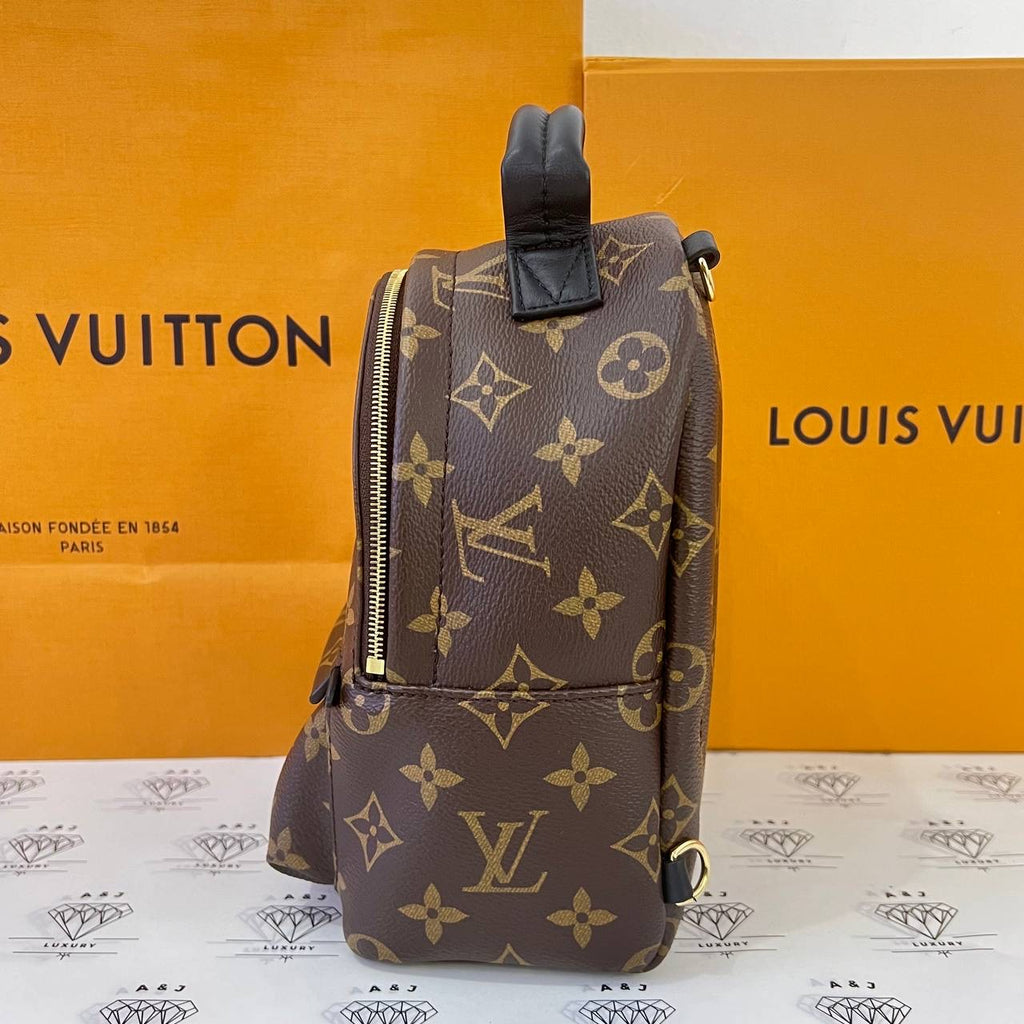 [PRE LOVED] Louis Vuitton Mini Palm Springs in Monogram (microchipped)