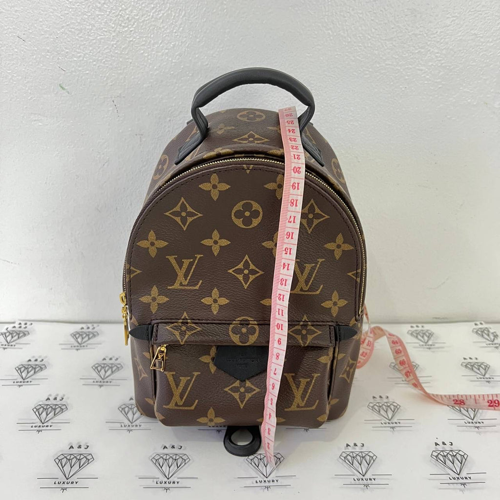 [PRE LOVED] Louis Vuitton Mini Palm Springs in Monogram (microchipped)