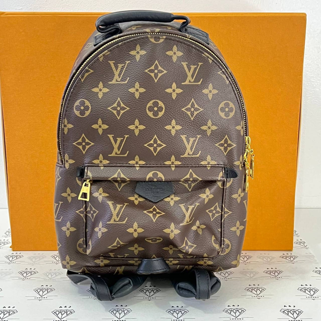 [PRE LOVED] Louis Vuitton Palm Springs PM in Monogram Canvass (microchipped)