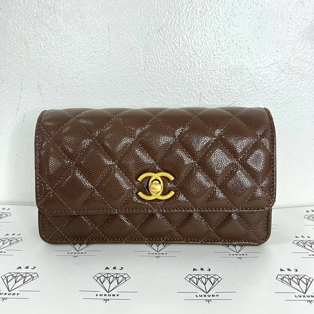 [PRE LOVED] Chanel Seasonal Wallet on Chain in Dark Brown Caviar GHW (microchipped)