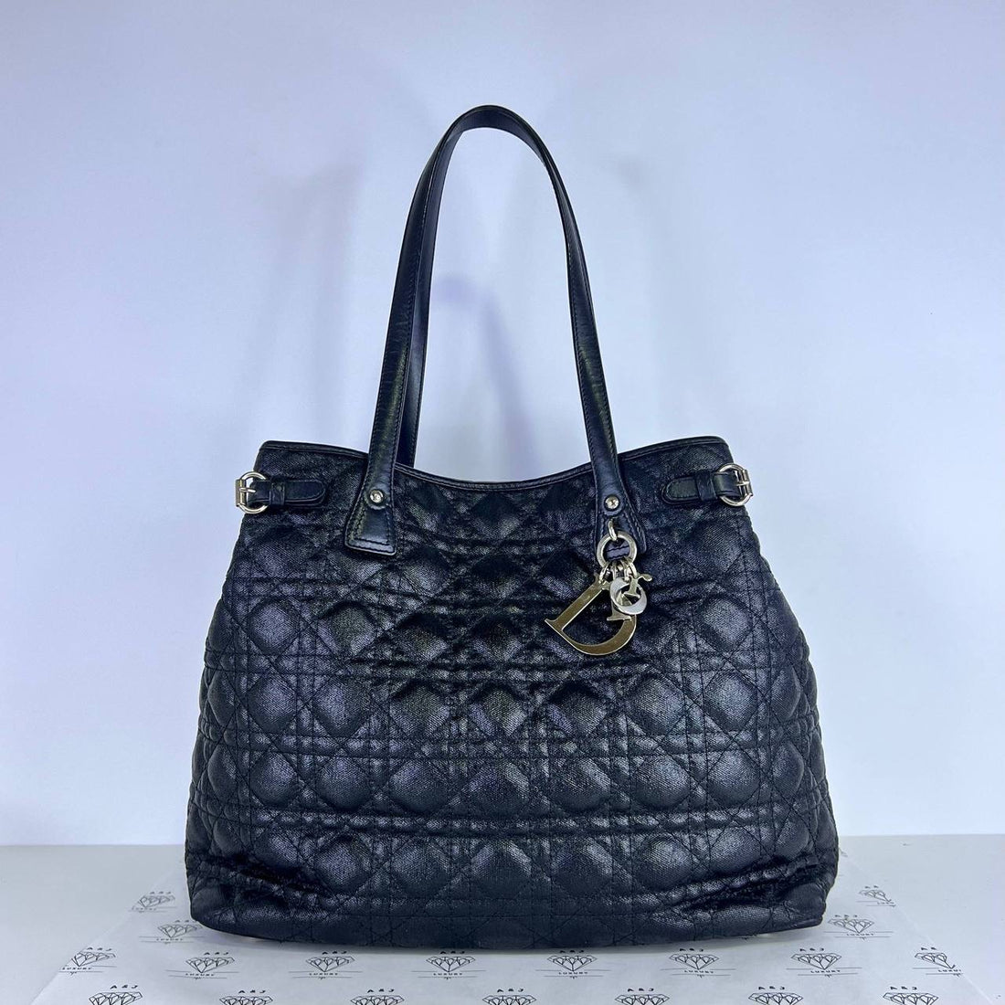 [PRE LOVED] Christian Dior Medium Panarea Tote Bag in Black SHW (2011)