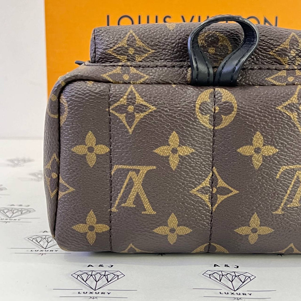 [PRE LOVED] Louis Vuitton Mini Palm Springs in Monogram Canvass (FL3159)