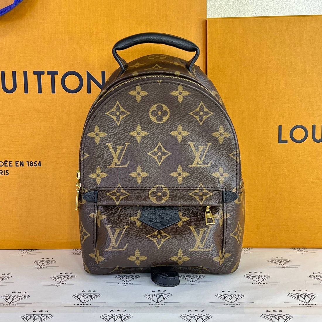 [PRE LOVED] Louis Vuitton Mini Palm Springs in Monogram Canvass (microchipped)