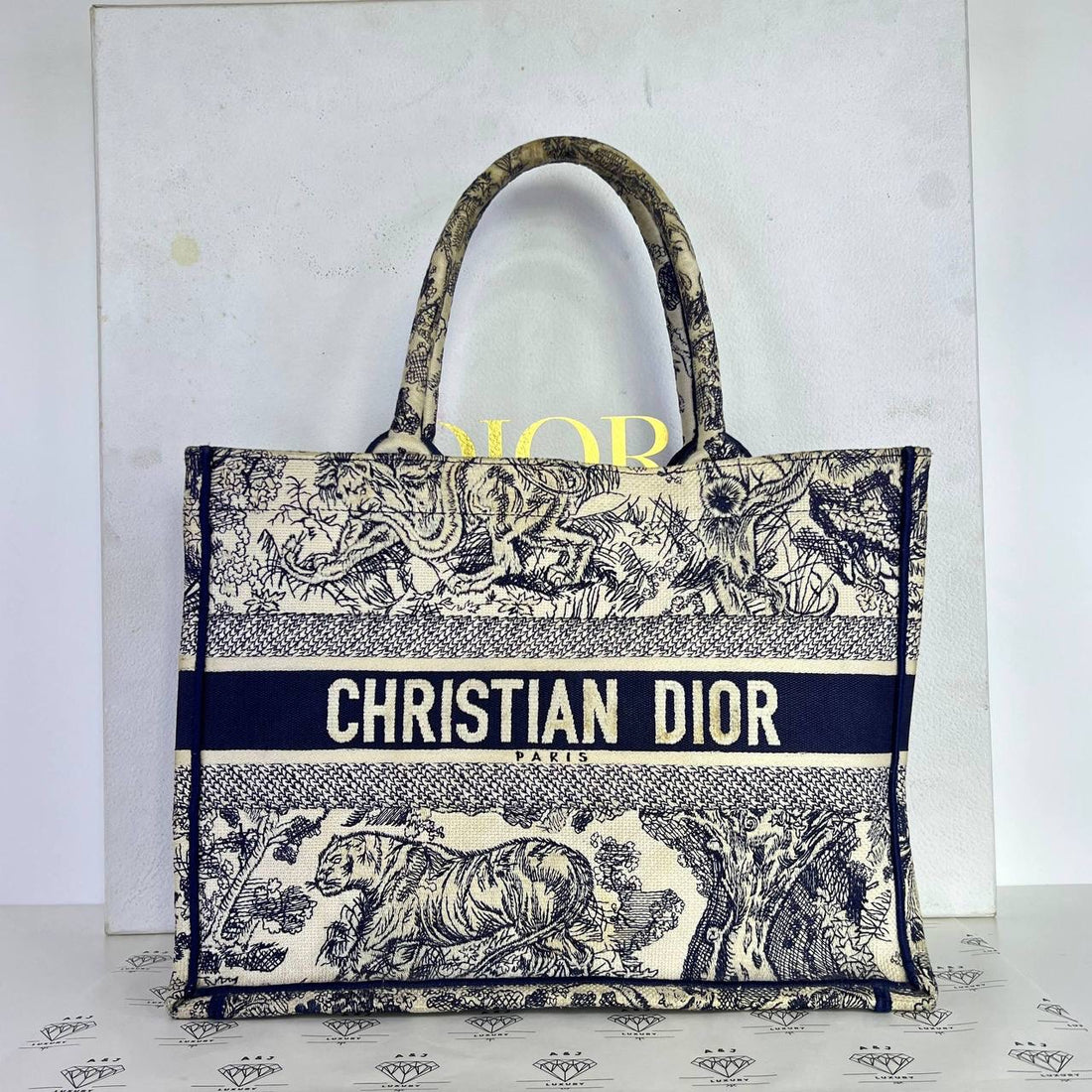 [PRE LOVED] Christian Dior Medium Book Tote in Toile De Juoy (2021)