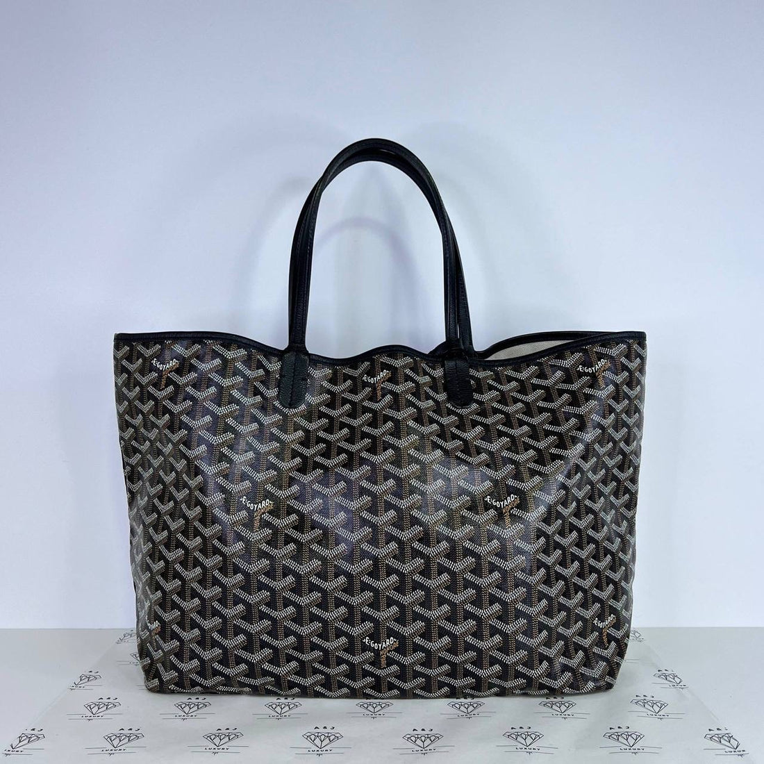 [PRE LOVED] Goyard St Louis PM in Black (2019)